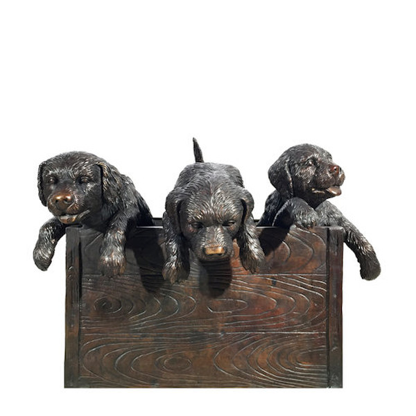 Bronze Puppies in a Box Sculpture Three Large Scale Statues Dogs